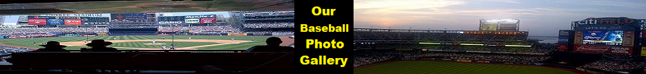 New York Yankees & NY Mets Baseball Stadiums