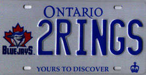 New License Plate Logo