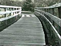 Bridge accross river