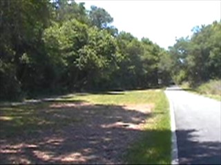Easy Riding Trail in wooded area
