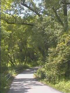 Entrance to the Oshawa creek wooded area